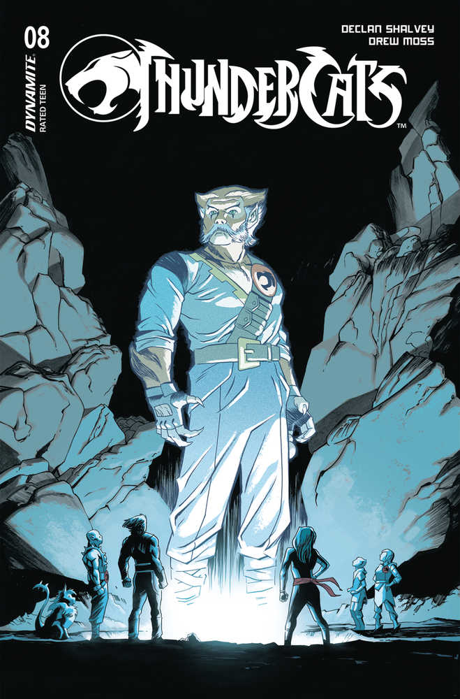 ThunderCats (2024) #8C