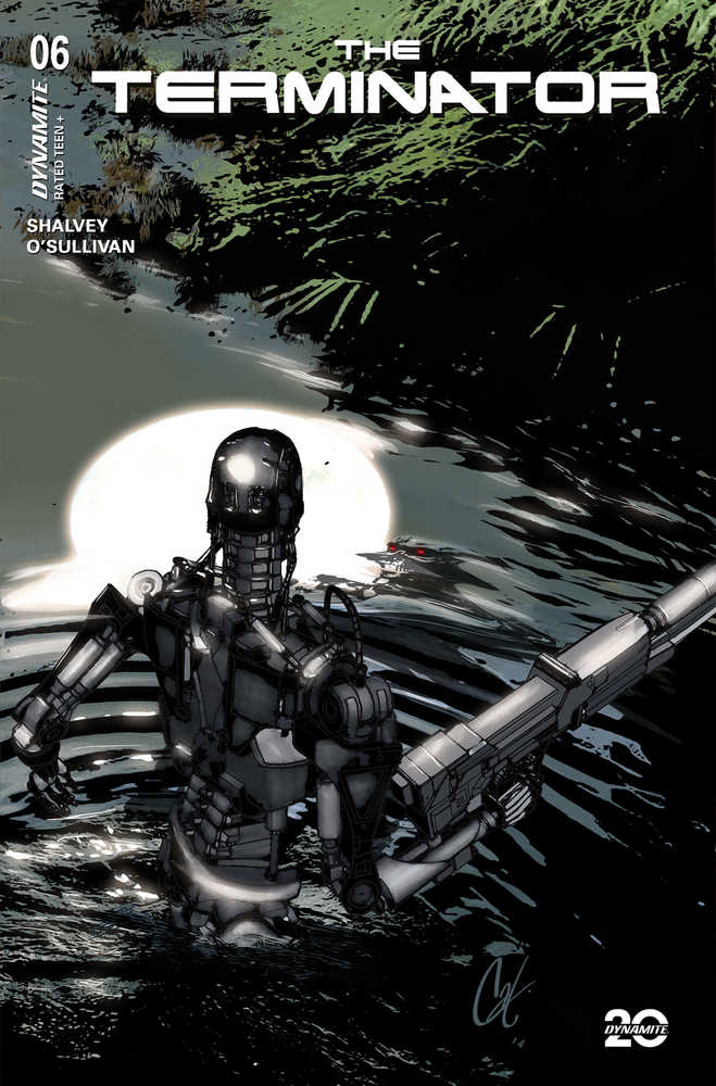 Terminator #6 Cover C Staggs
