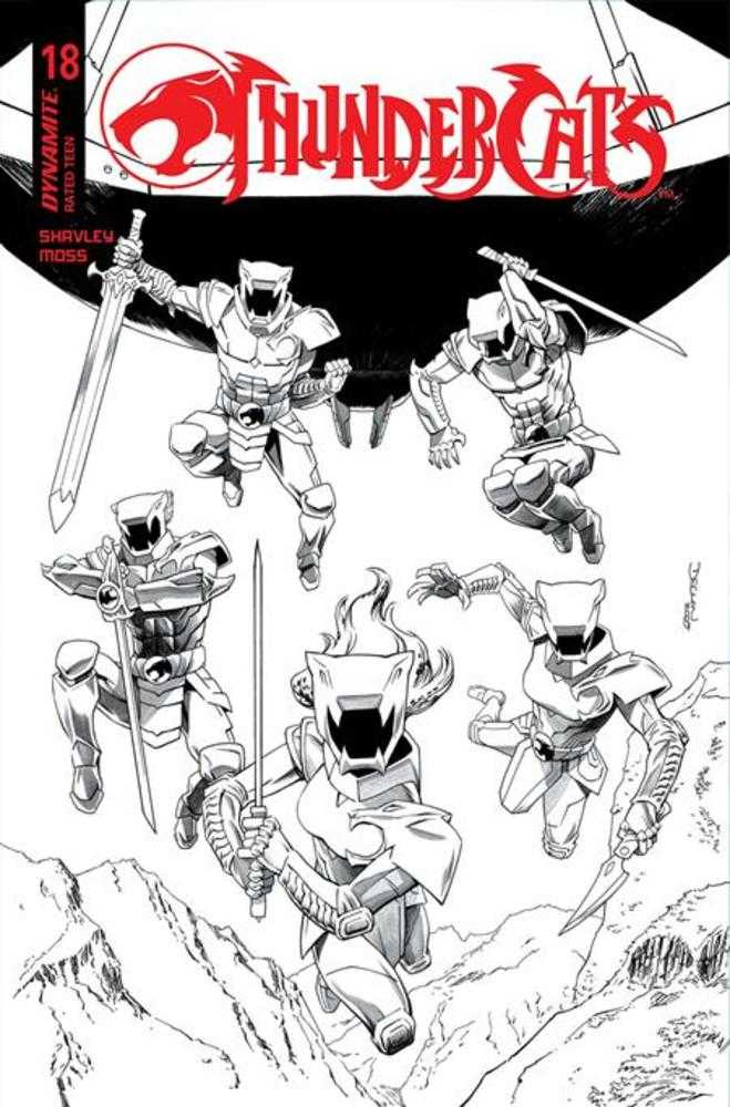 Thundercats #18 Cover N 1 in 10 Declan Shalvey Line Art Variant