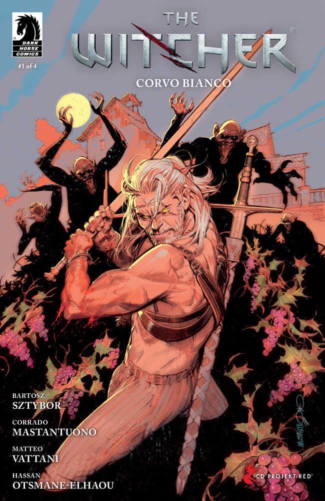 The Witcher: Corvo Bianco (2024) #1