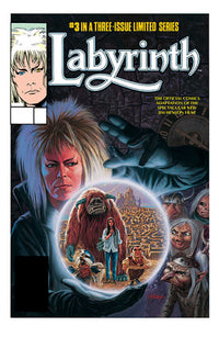 Thumbnail for Jim Henson's Labyrinth: Archive Edition (2024) #3