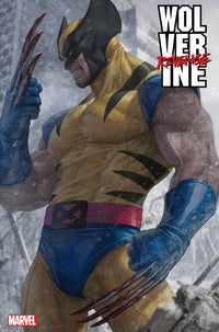 Thumbnail for Wolverine: Revenge (2024) #1F