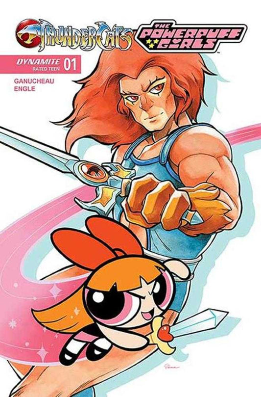 Thundercats Powerpuff Girls #1 Cover D Saowee Variant