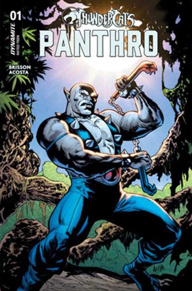 Comic book cover featuring a superhero in a forest setting with 'Thundercats Panthro' branding.