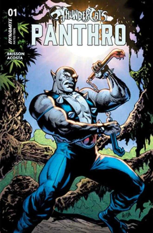Comic book cover featuring a superhero in a forest setting with 'Thundercats Panthro' branding.