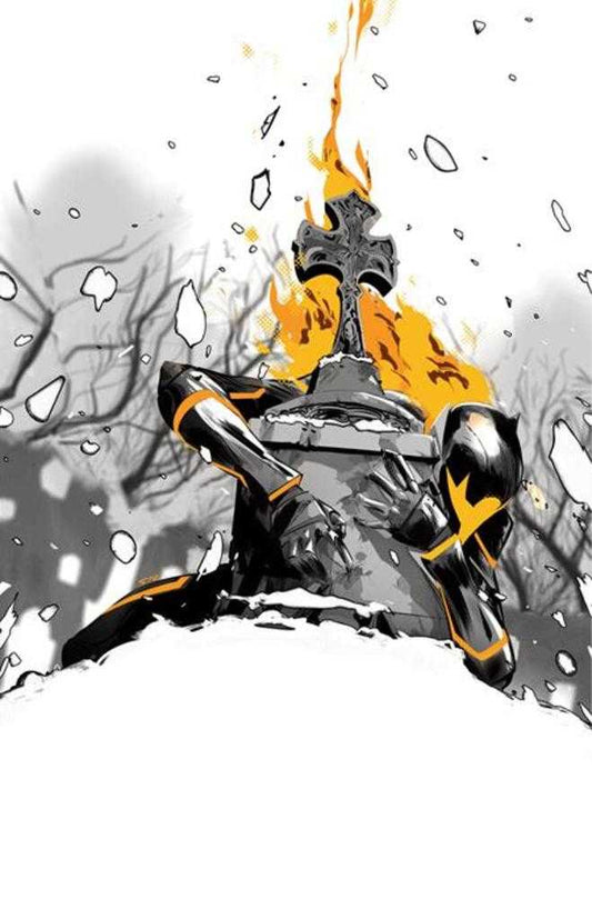 Rogue Sun #35 Cover C Inc 1:20 Stefano Simeone Full Art Variant