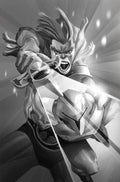 Thundercats X Silverhawks #1 Cover M Inc 1:30 Eric Canete Black & White Full Art Variant