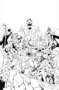 Thundercats #25 Cover M Inc 1:7 Declan Shalvey Line Art Full Art Variant