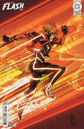Absolute Flash #19 Cover B Denys Cowan Card Stock Variant