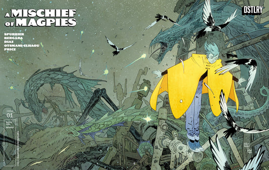 A Mischief Of Magpies #1 Cover D Bilquis Evely 25 Copy Variant