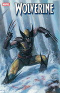 Wolverine (2024) #14D