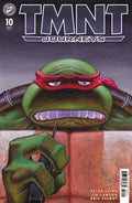 Teenage Mutant Ninja Turtles: Journeys #10 Cover A (Dooney & Lawson)