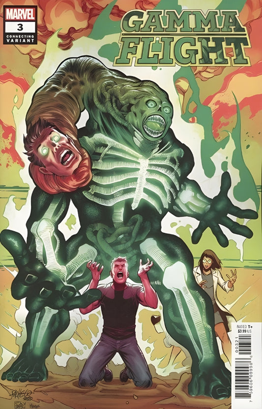 Gamma Flight (2021) #3B