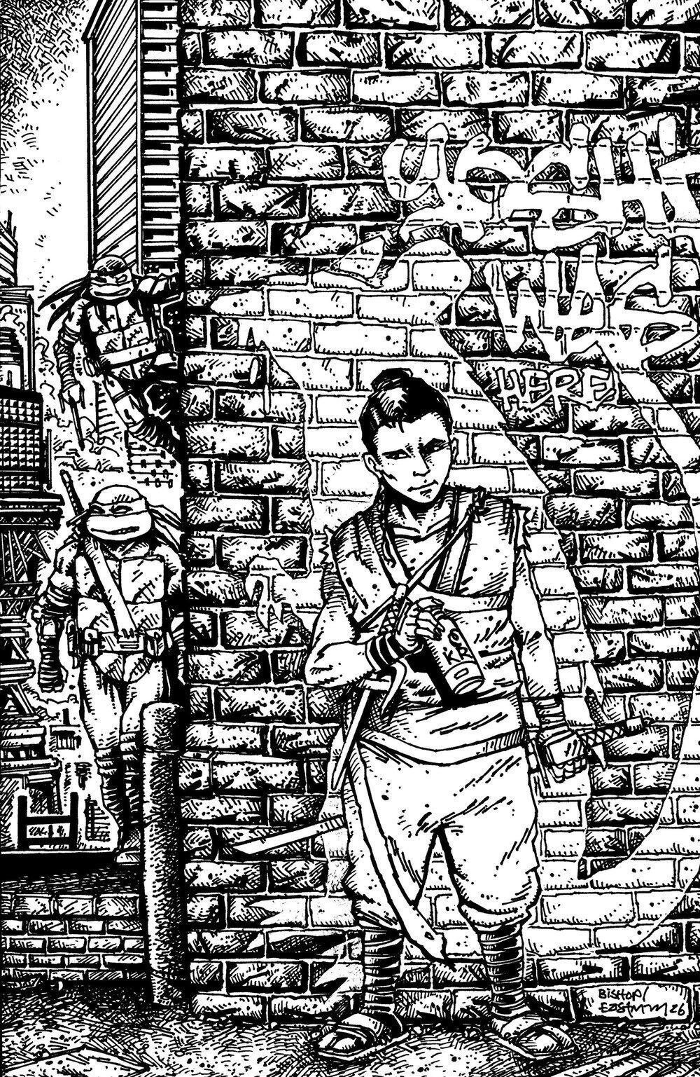 Teenage Mutant Ninja Turtles #18 Cover E