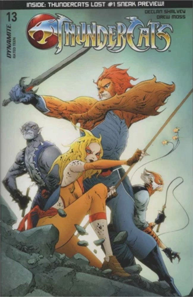 ThunderCats (2024) #13C