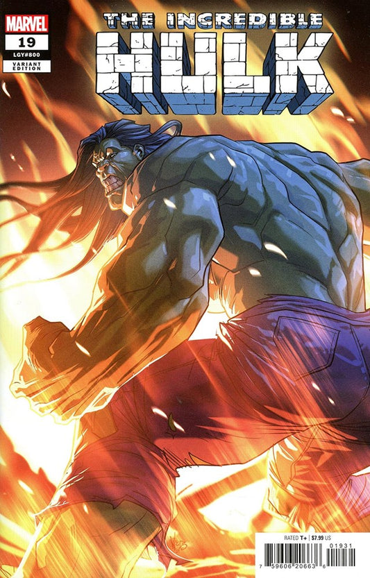 Incredible Hulk (2023) #19C