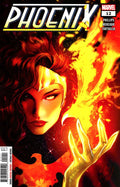 Phoenix (2024) #12