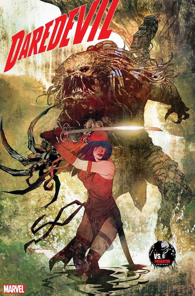 Daredevil Vol. 8 #2D