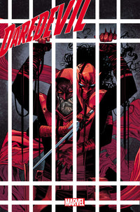 Thumbnail for Daredevil Vol. 8 #5