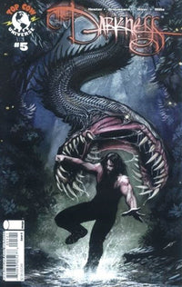 Thumbnail for The Darkness (2007) #5B