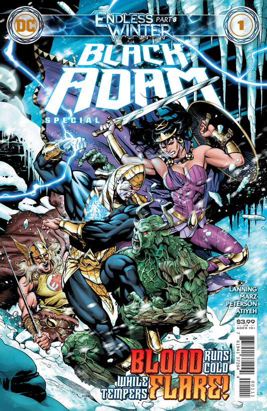 Black Adam: Endless Winter Special #1