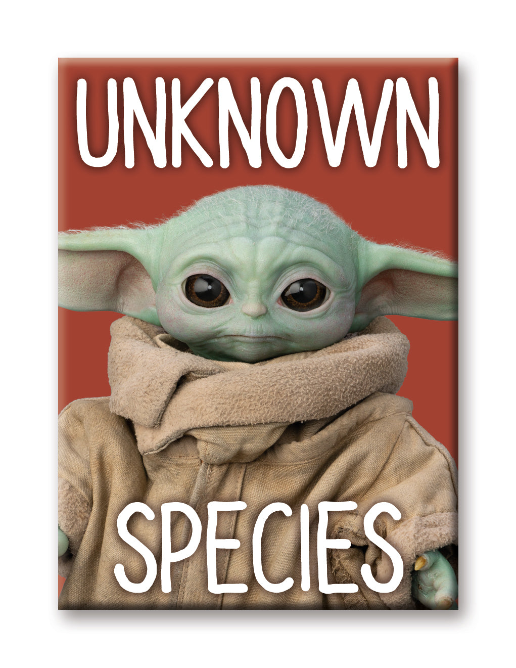 Star Wars Mandalorian Child Flat Magnet: Unknown Species